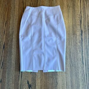 Express Light Mauve Pencil Skirt